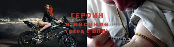 прущие грибы Алексин