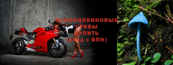 трава Алзамай