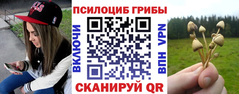 дарнет шоп  Грязовец  Галлюциногенные грибы ЛСД 